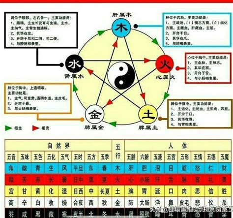 金土命|五行查询